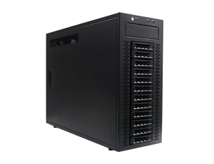 CEACENT 12-day tower server