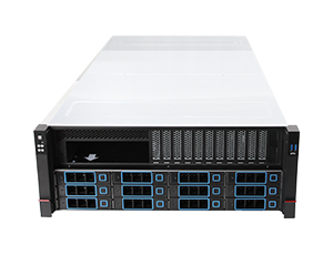 CEACENT  8-AI server